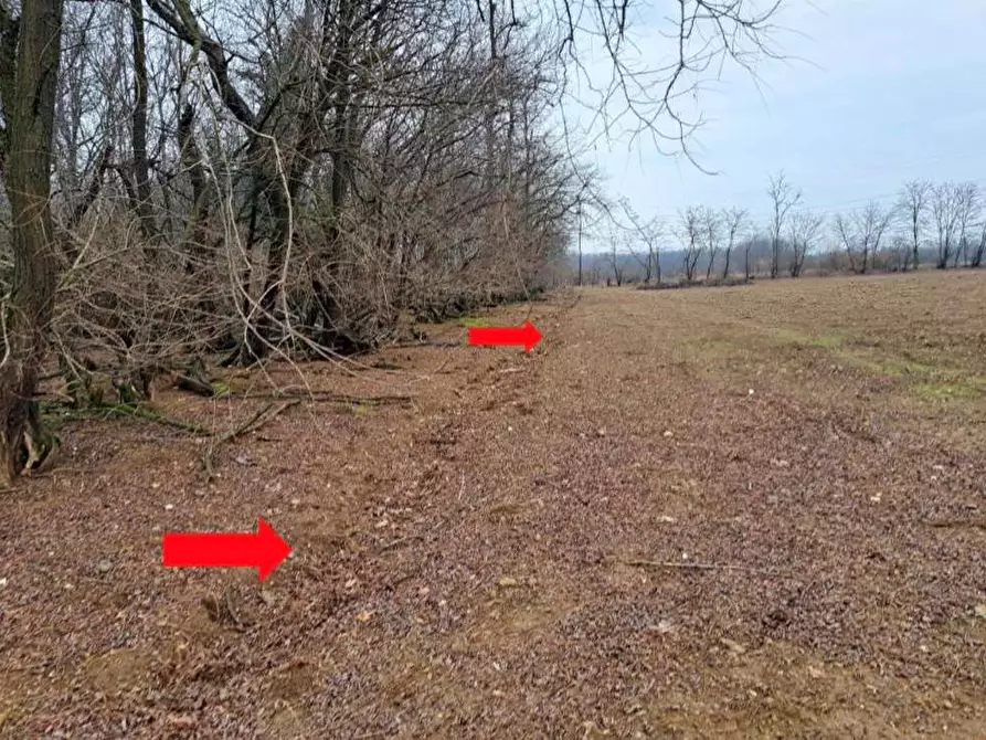 Immagine 9 di Terreno agricolo in vendita  in Frazione borsano SNC a Busto Arsizio