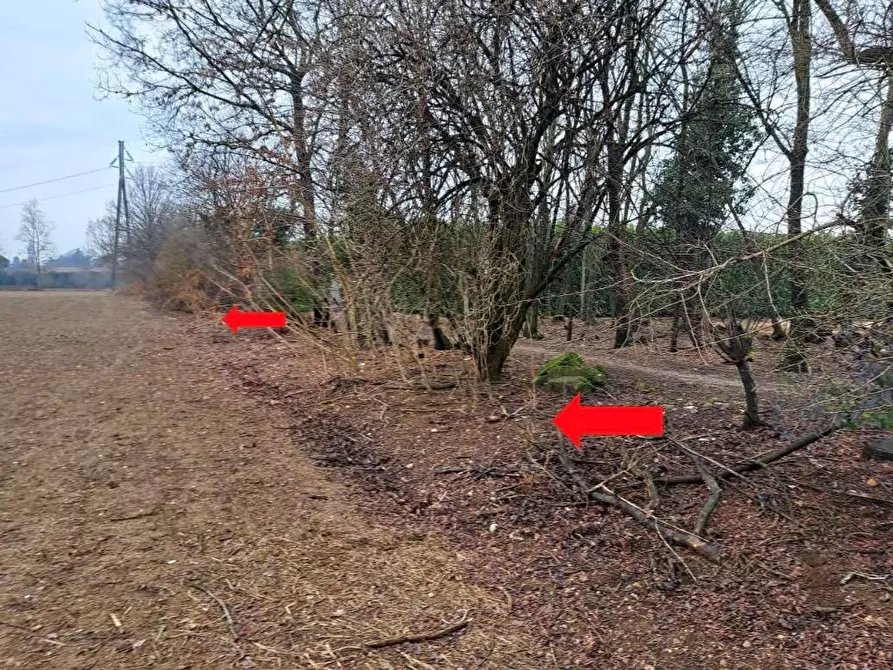 Immagine 10 di Terreno agricolo in vendita  in Frazione borsano SNC a Busto Arsizio