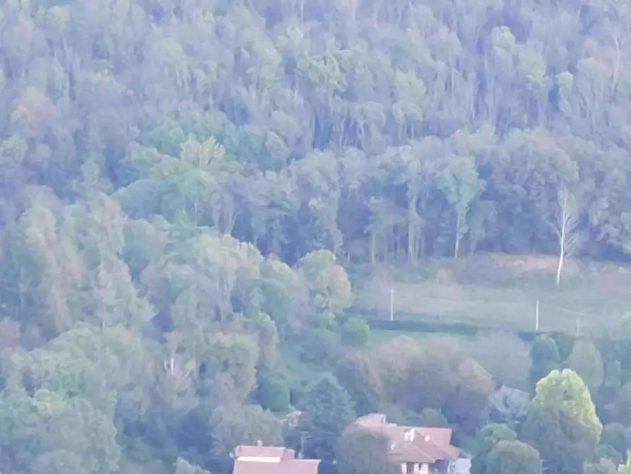 Immagine 3 di Terreno agricolo in vendita  in Localita' Rasa a Varese