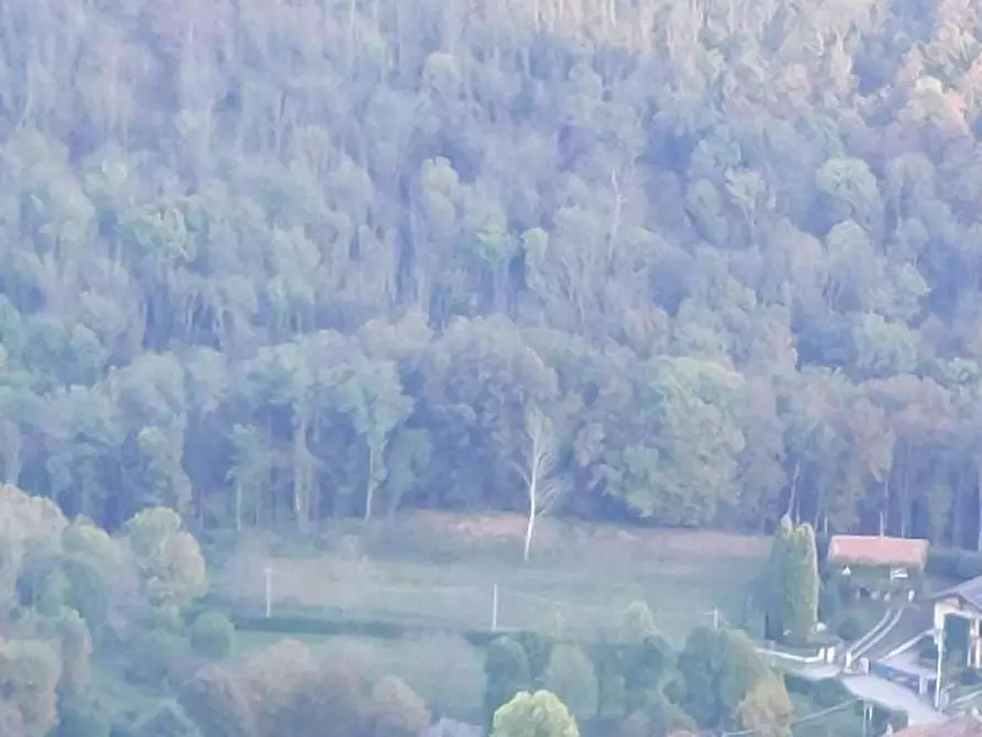 Immagine 5 di Terreno agricolo in vendita  in Localita' Rasa a Varese