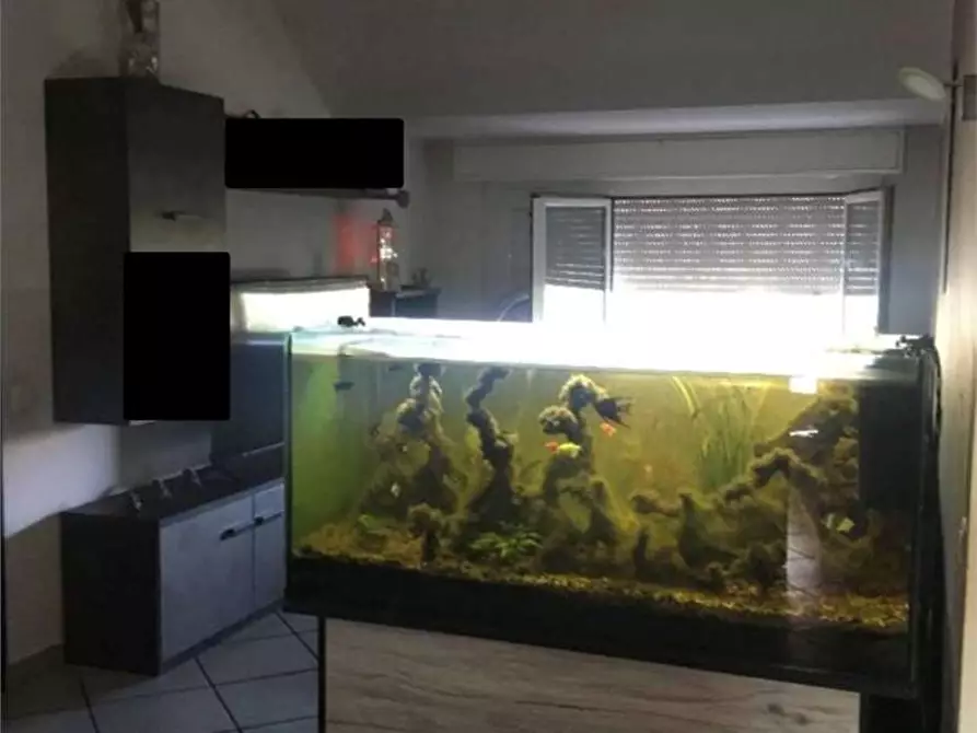 Immagine 9 di Appartamento in vendita  in Via N. Sauro 21 a Bregnano