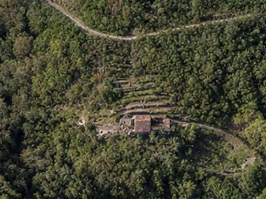 Immagine 1 di Terreno agricolo in vendita  in Localita' Vallone e Pila a Dolceacqua
