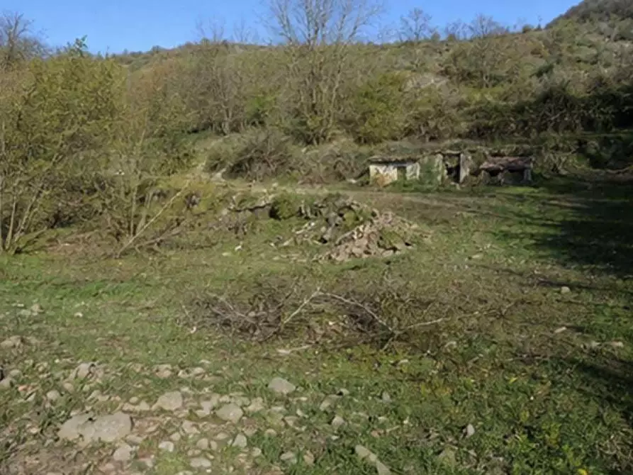 Immagine 2 di Terreno agricolo in vendita  in Localita' Vallone e Pila a Dolceacqua