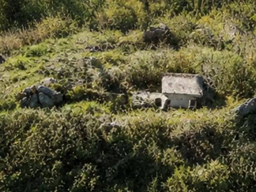 Immagine 3 di Terreno agricolo in vendita  in Localita' Vallone e Pila a Dolceacqua