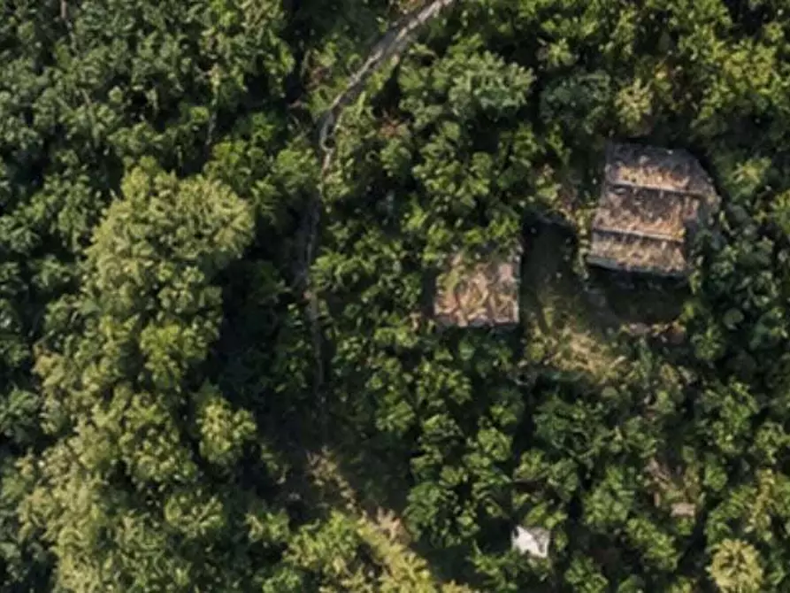 Immagine 4 di Terreno agricolo in vendita  in Localita' Vallone e Pila a Dolceacqua