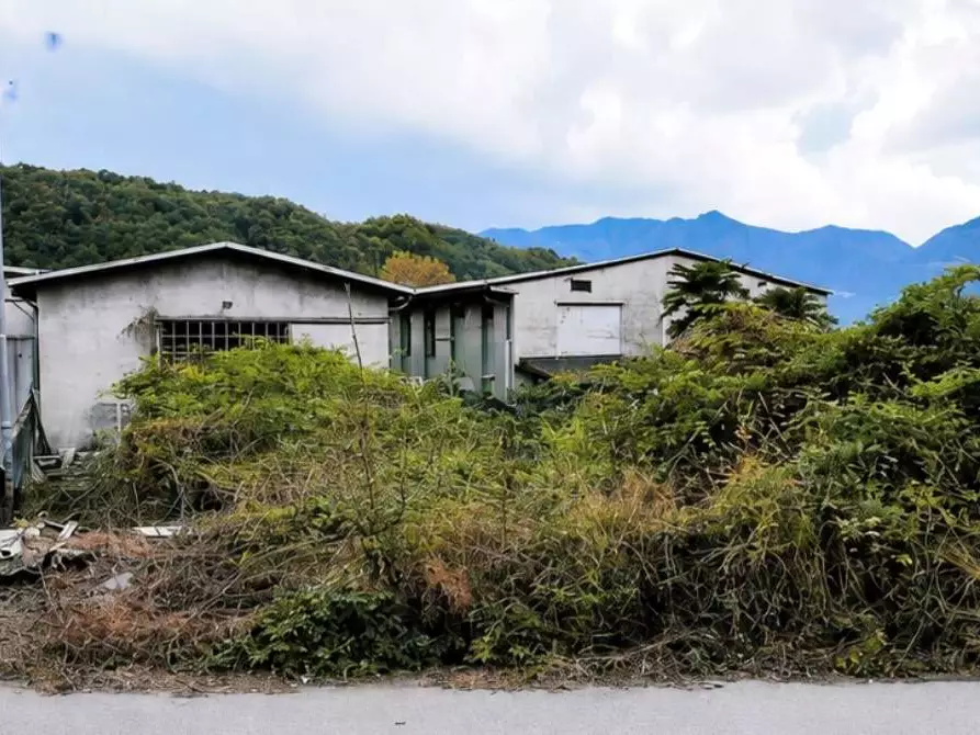 Immagine 2 di Capannone industriale in vendita  in Via gorizia a Luino