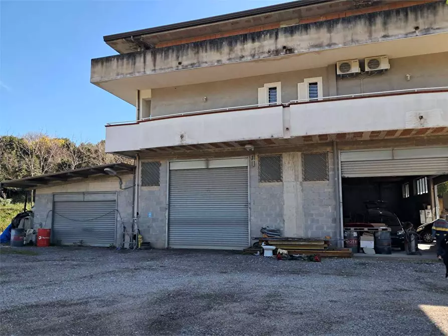 Immagine 28 di Stabile in vendita  in Via Delle Acacie a Calvi Risorta