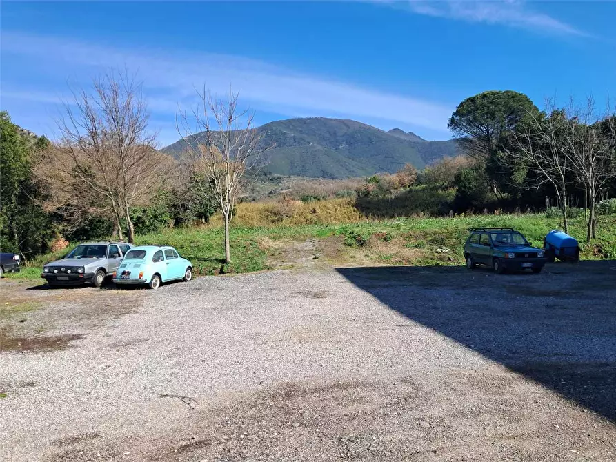 Immagine 18 di Stabile in vendita  in Via Delle Acacie a Calvi Risorta