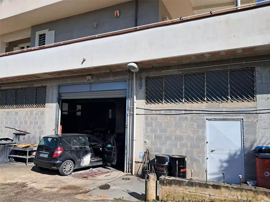Immagine 26 di Stabile in vendita  in Via Delle Acacie a Calvi Risorta