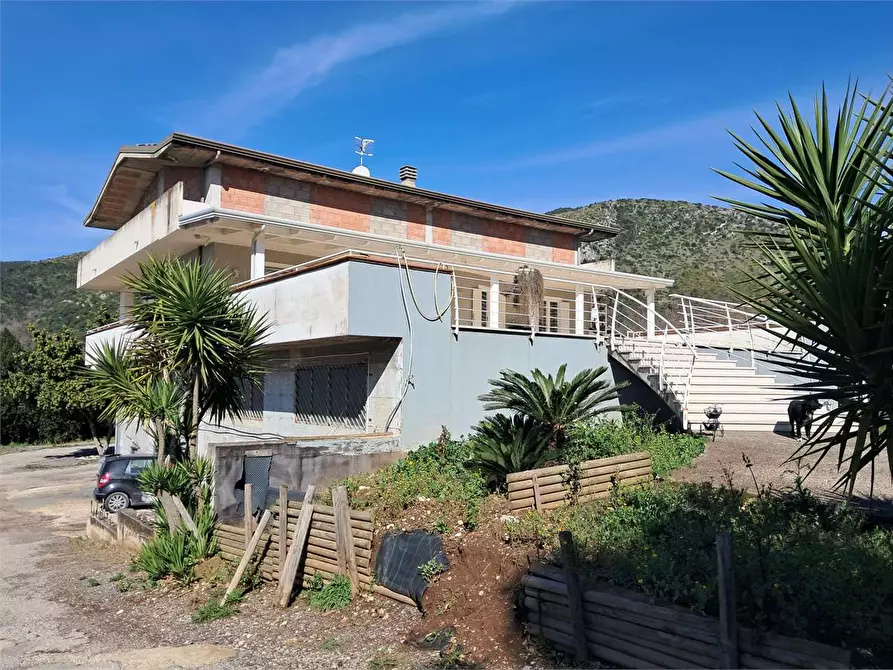 Immagine 19 di Stabile in vendita  in Via Delle Acacie a Calvi Risorta