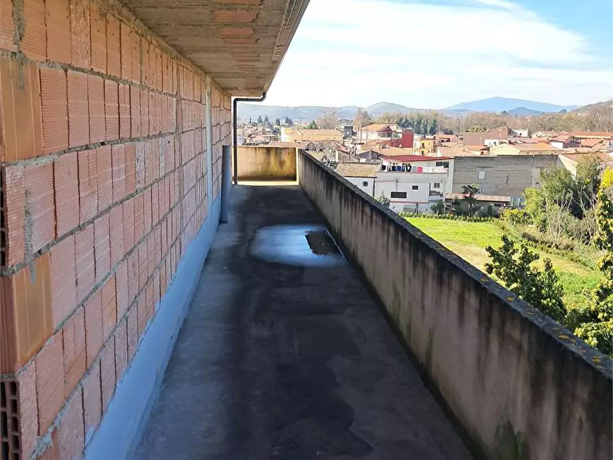 Immagine 23 di Stabile in vendita  in Via Delle Acacie a Calvi Risorta