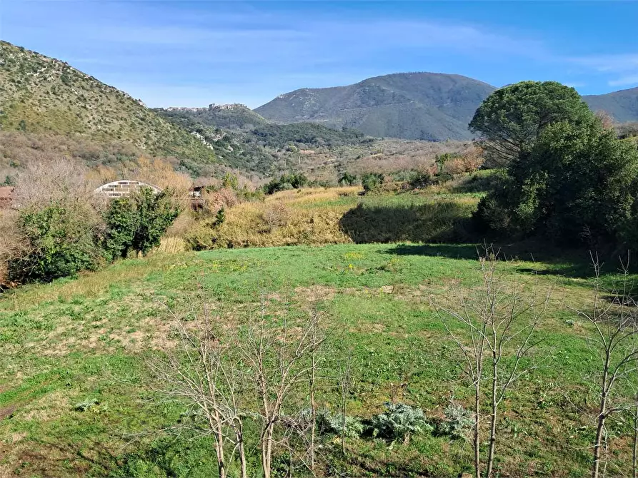 Immagine 22 di Stabile in vendita  in Via Delle Acacie a Calvi Risorta