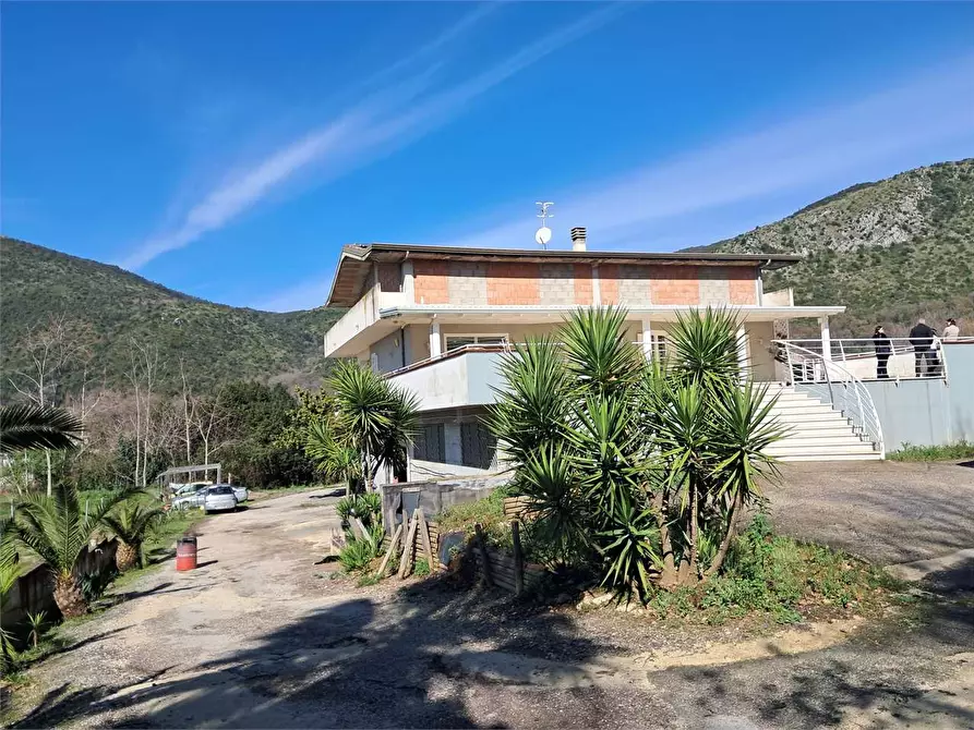 Immagine 24 di Stabile in vendita  in Via Delle Acacie a Calvi Risorta