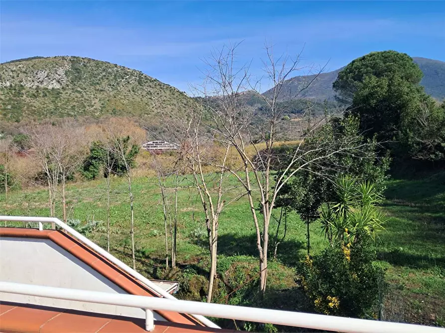 Immagine 25 di Stabile in vendita  in Via Delle Acacie a Calvi Risorta