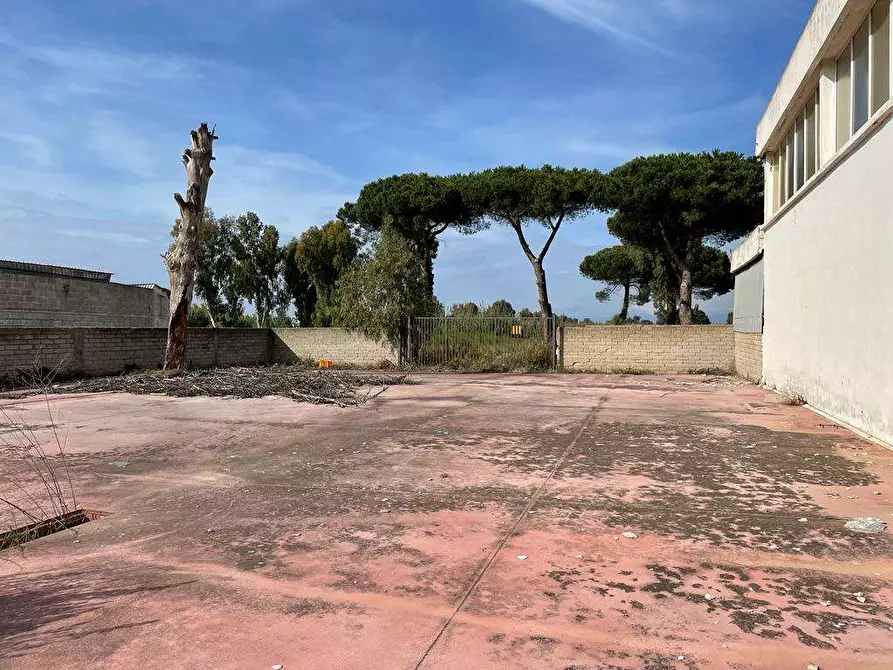 Immagine 10 di Capannone industriale in affitto  a Mondragone