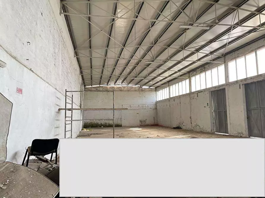 Immagine 19 di Capannone industriale in affitto  a Mondragone
