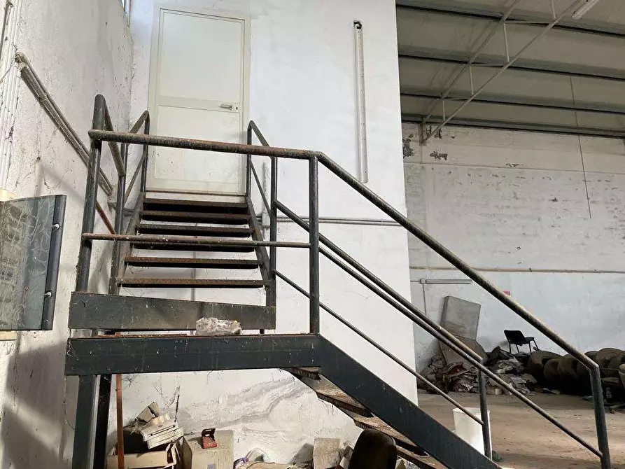 Immagine 11 di Capannone industriale in affitto  a Mondragone
