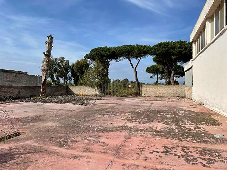 Immagine 3 di Capannone industriale in affitto  a Mondragone