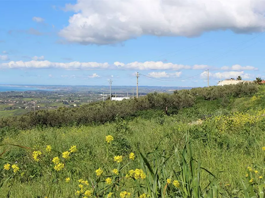 Immagine 3 di Terreno agricolo in vendita  a Sciacca