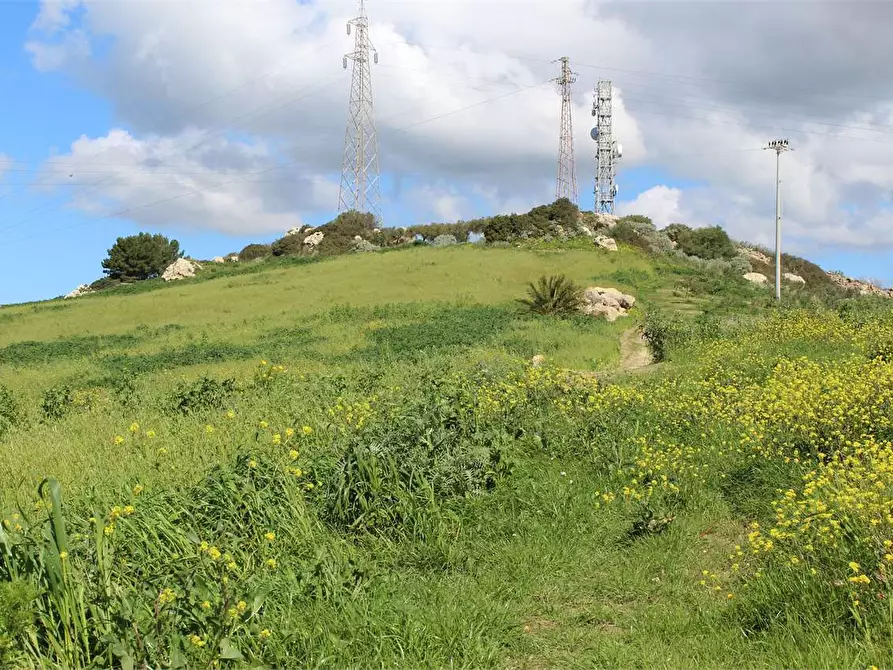 Immagine 4 di Terreno agricolo in vendita  a Sciacca