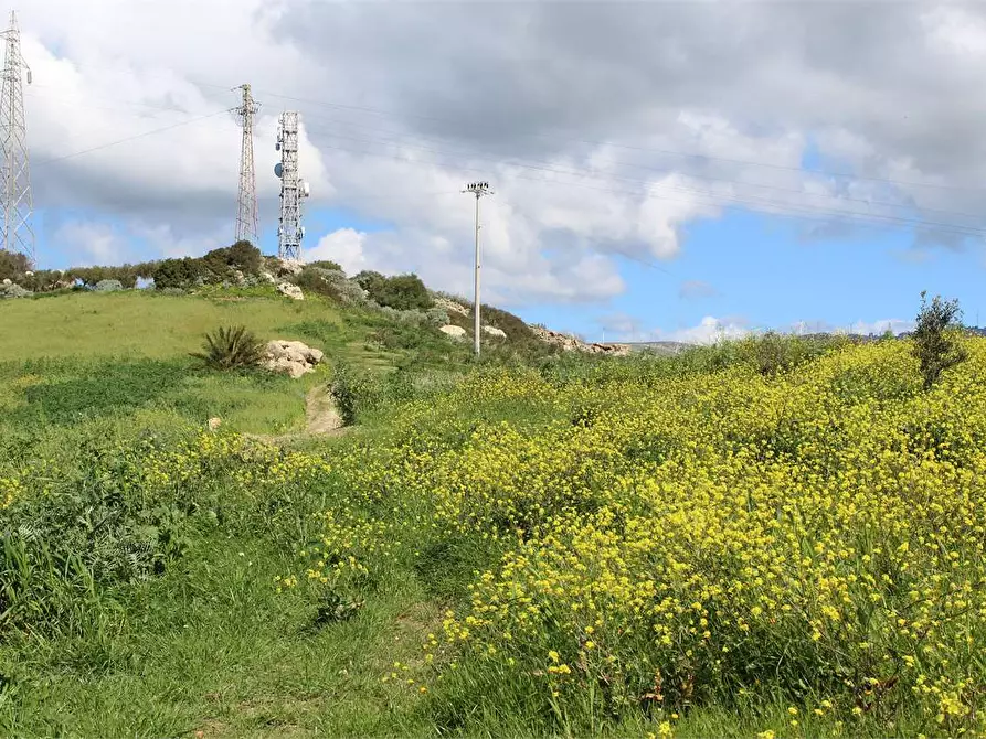 Immagine 6 di Terreno agricolo in vendita  a Sciacca