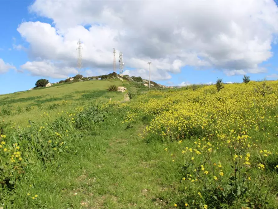 Immagine 7 di Terreno agricolo in vendita  a Sciacca