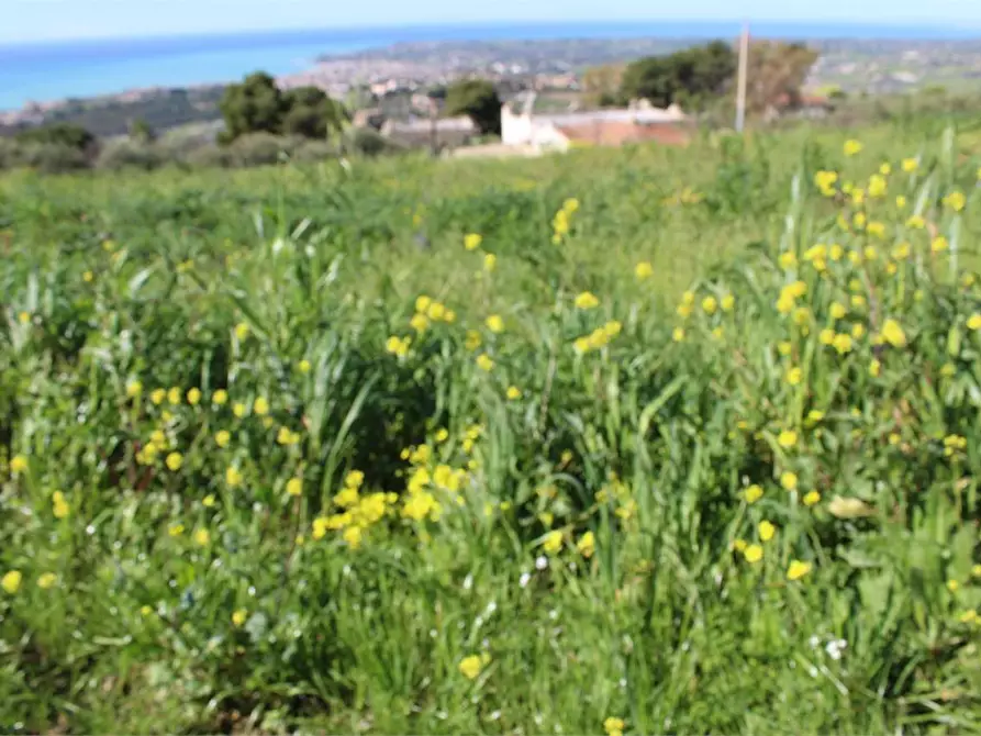 Immagine 11 di Terreno agricolo in vendita  a Sciacca