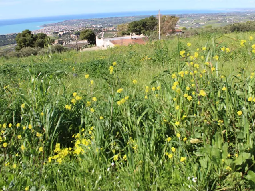 Immagine 13 di Terreno agricolo in vendita  a Sciacca