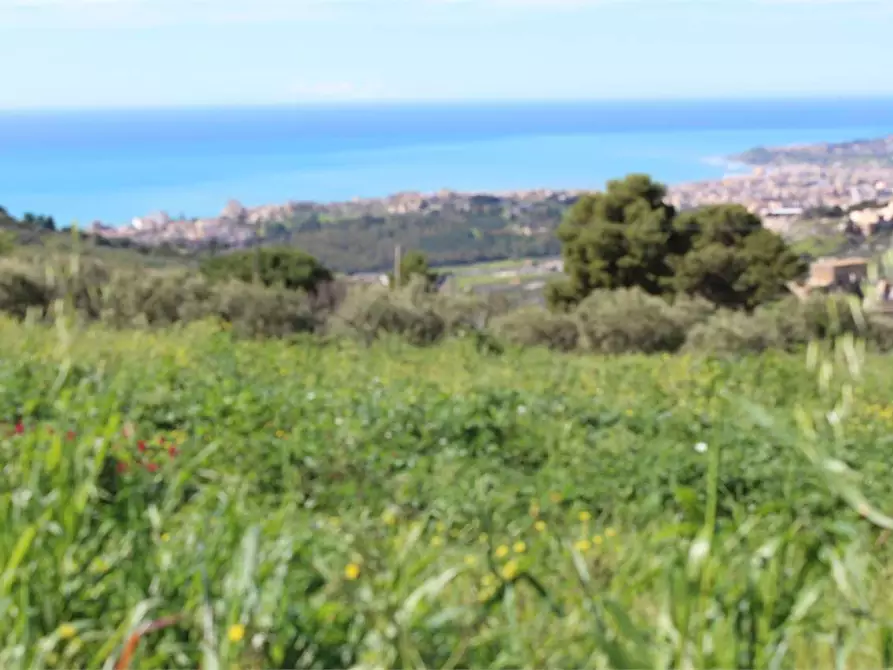 Immagine 15 di Terreno agricolo in vendita  a Sciacca