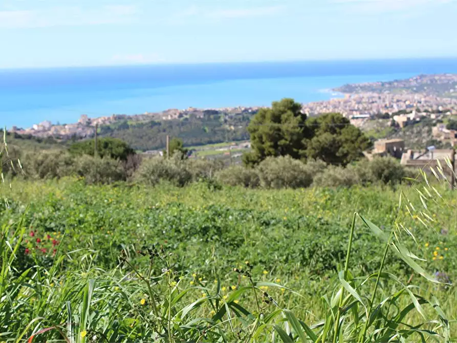 Immagine 16 di Terreno agricolo in vendita  a Sciacca
