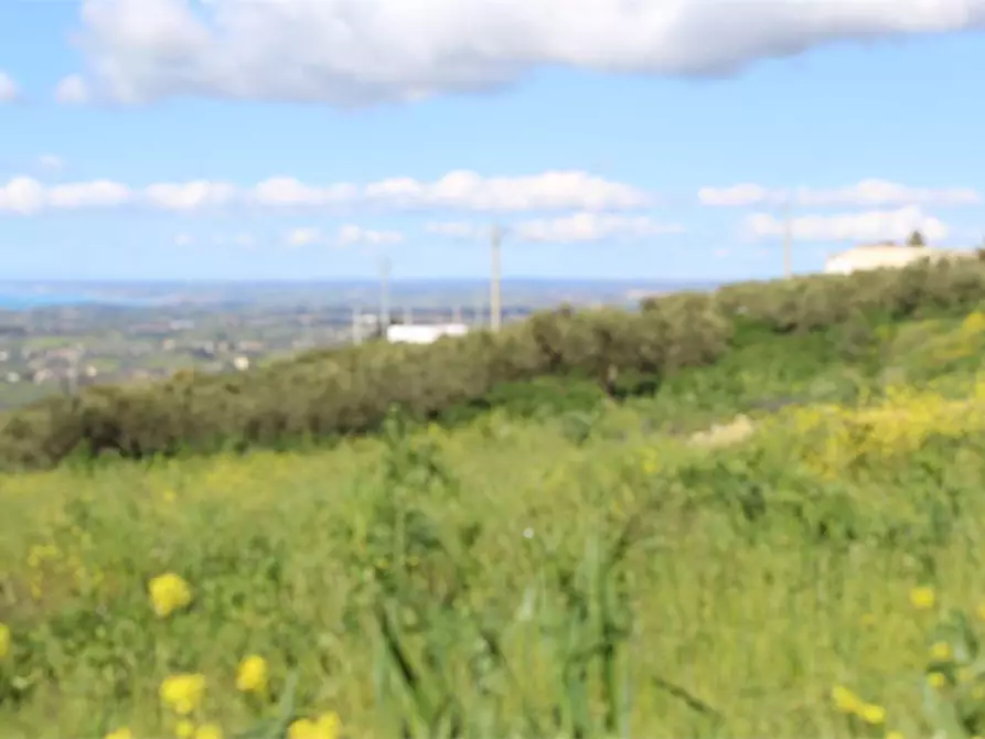 Immagine 17 di Terreno agricolo in vendita  a Sciacca