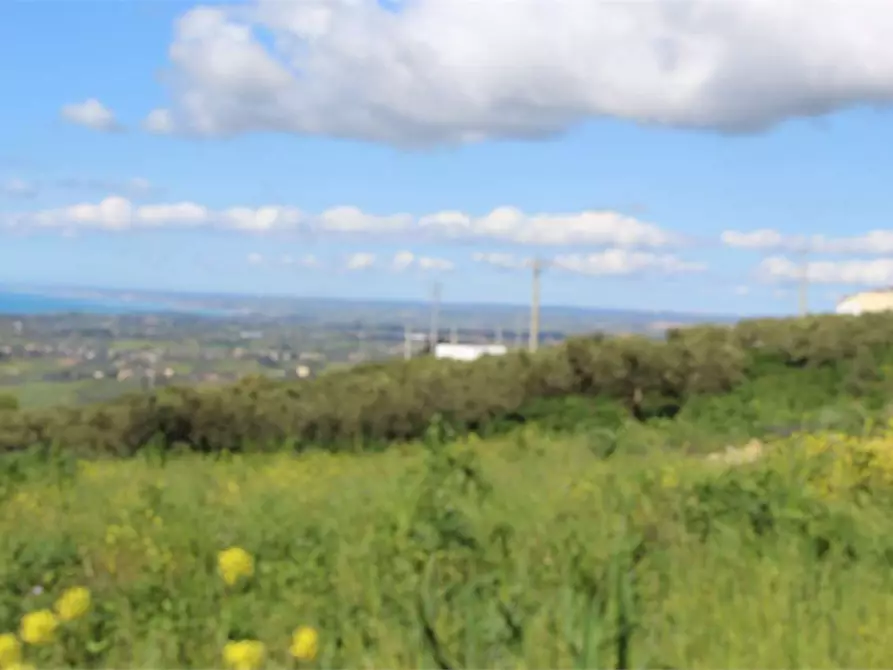 Immagine 18 di Terreno agricolo in vendita  a Sciacca