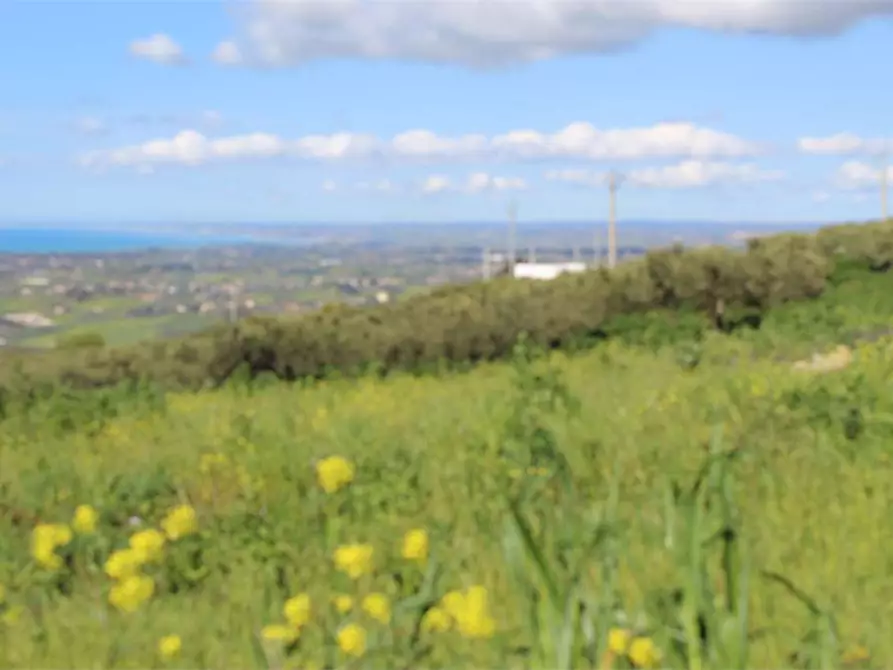 Immagine 19 di Terreno agricolo in vendita  a Sciacca
