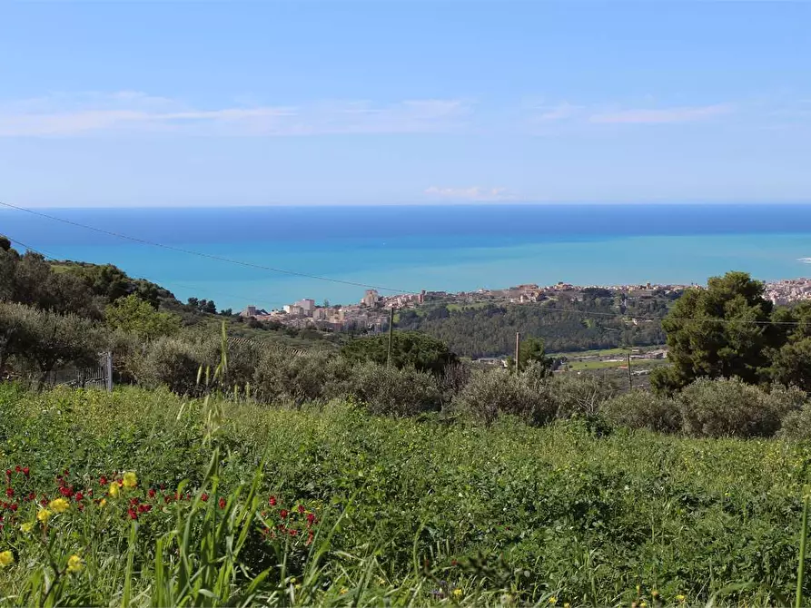 Immagine 21 di Terreno agricolo in vendita  a Sciacca