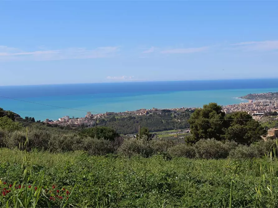 Immagine 22 di Terreno agricolo in vendita  a Sciacca