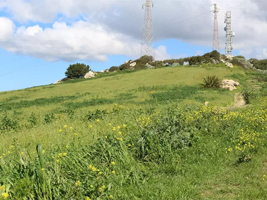Immagine 24 di Terreno agricolo in vendita  a Sciacca