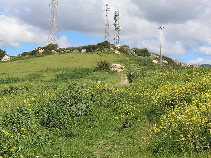 Immagine 25 di Terreno agricolo in vendita  a Sciacca
