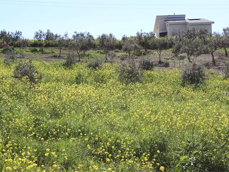Immagine 28 di Terreno agricolo in vendita  a Sciacca