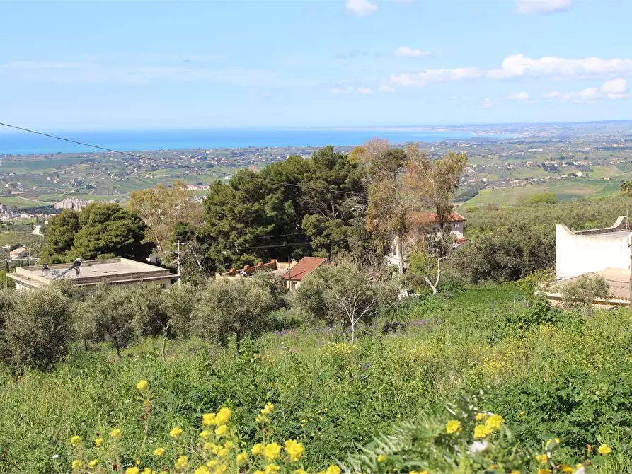 Immagine 31 di Terreno agricolo in vendita  a Sciacca