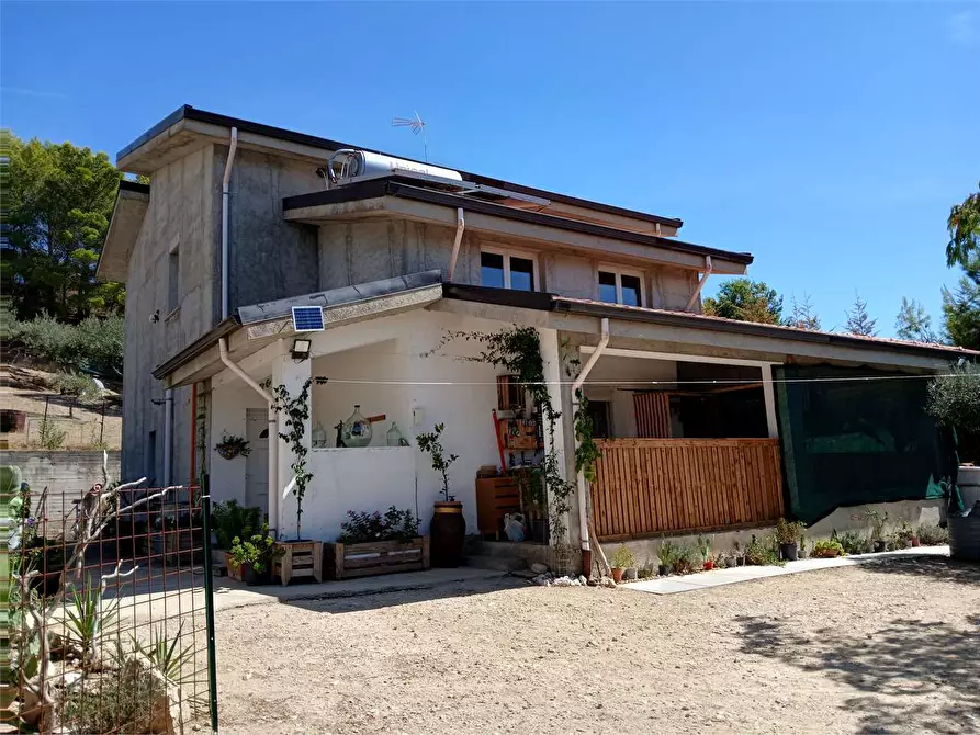 Immagine 6 di Villa in vendita  a Alessandria Della Rocca