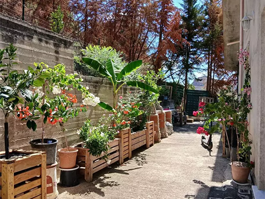 Immagine 8 di Villa in vendita  a Alessandria Della Rocca