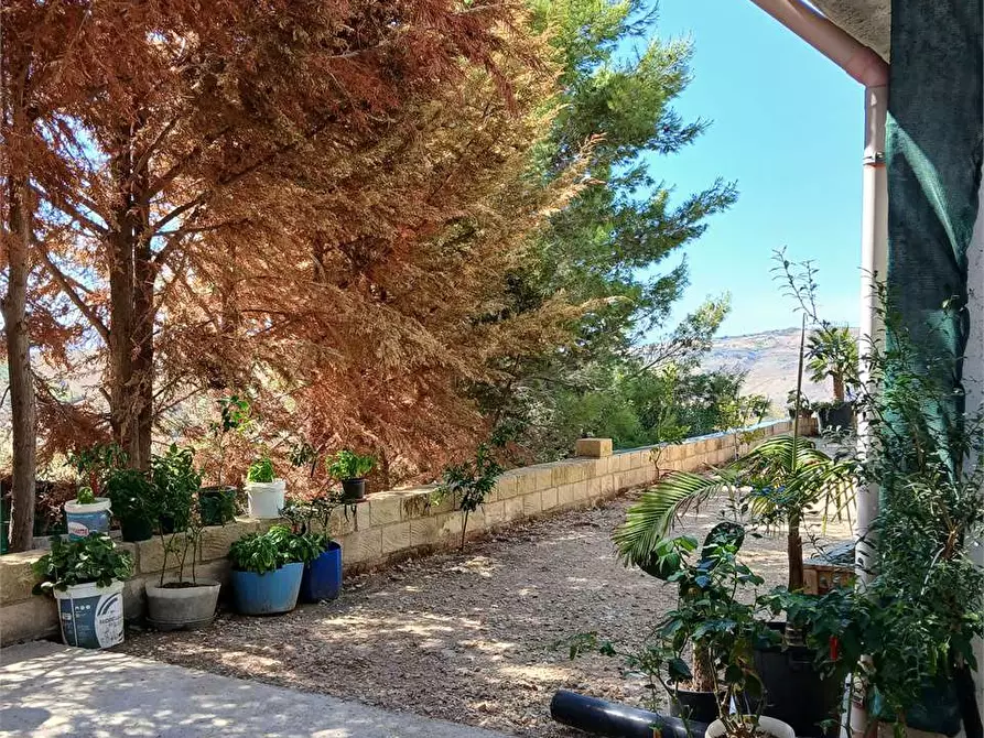 Immagine 9 di Villa in vendita  a Alessandria Della Rocca