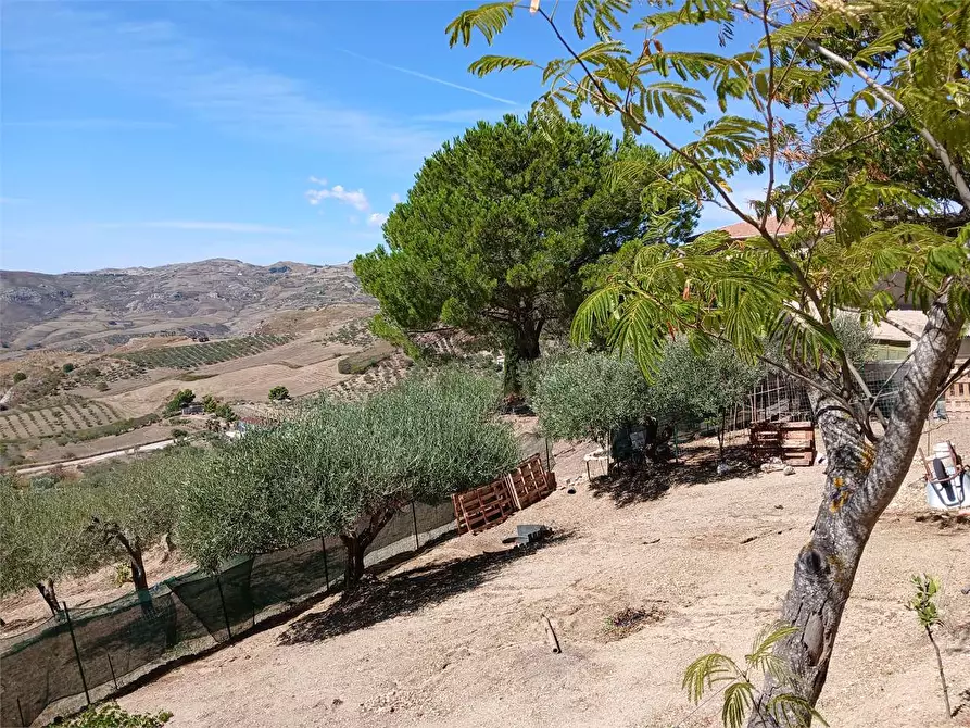 Immagine 16 di Villa in vendita  a Alessandria Della Rocca