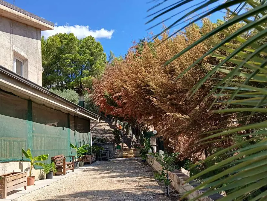 Immagine 18 di Villa in vendita  a Alessandria Della Rocca