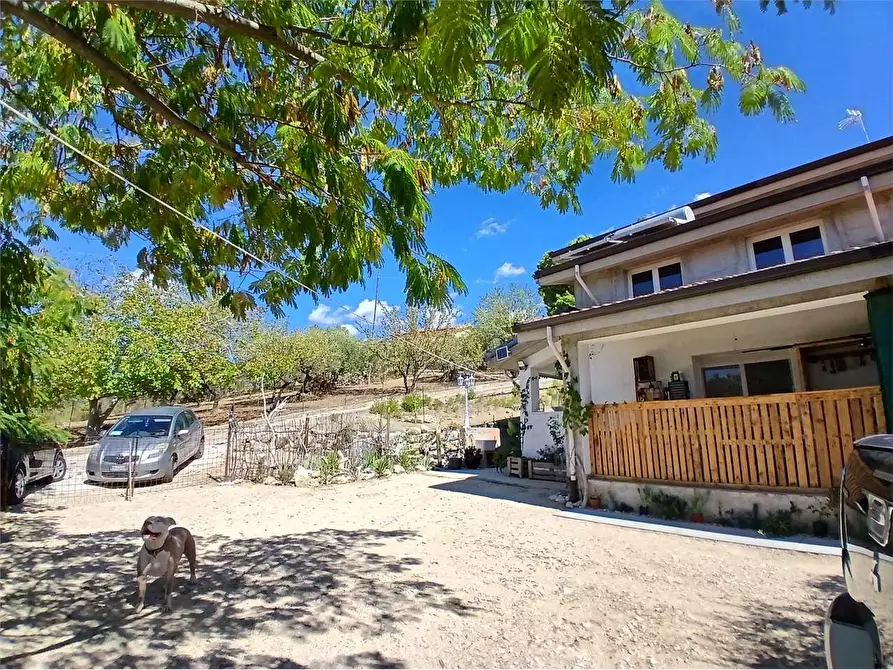 Immagine 20 di Villa in vendita  a Alessandria Della Rocca