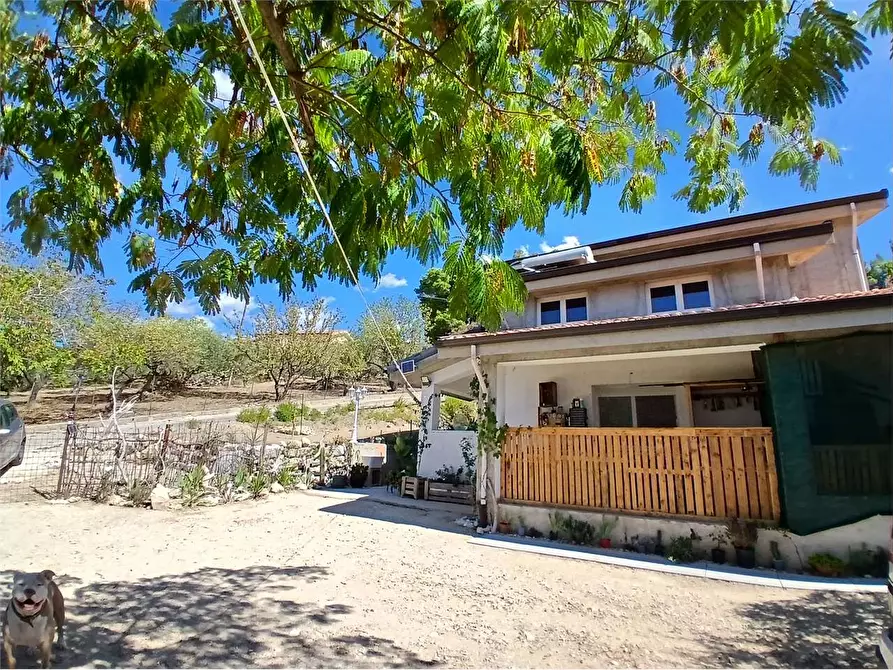 Immagine 21 di Villa in vendita  a Alessandria Della Rocca