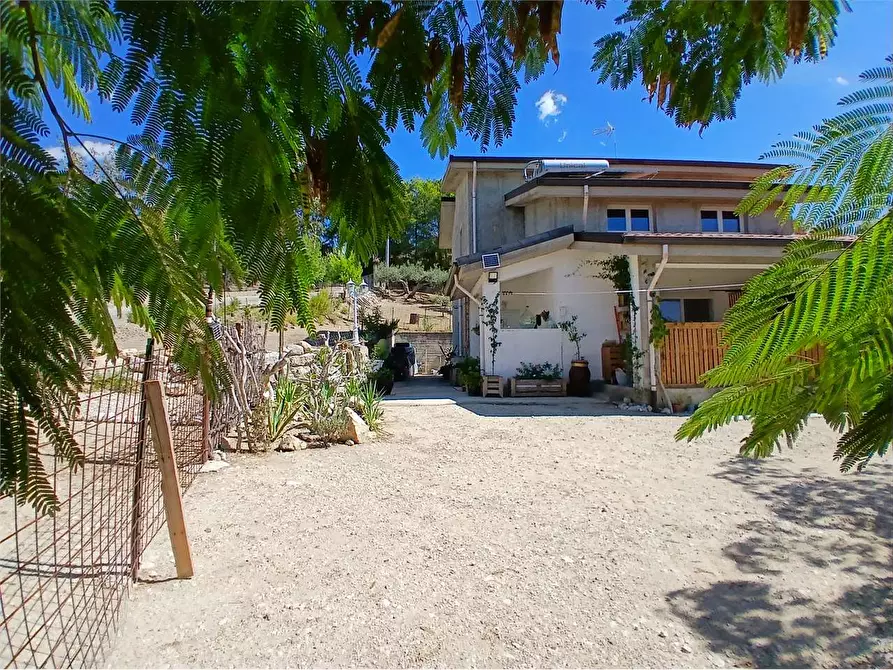 Immagine 22 di Villa in vendita  a Alessandria Della Rocca