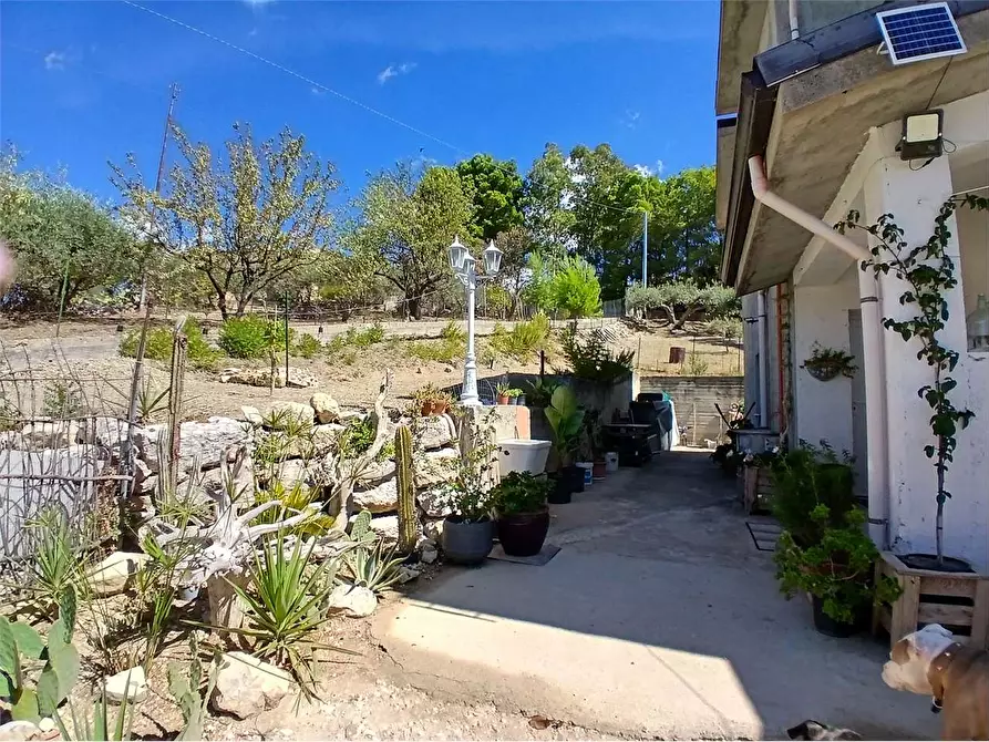 Immagine 24 di Villa in vendita  a Alessandria Della Rocca