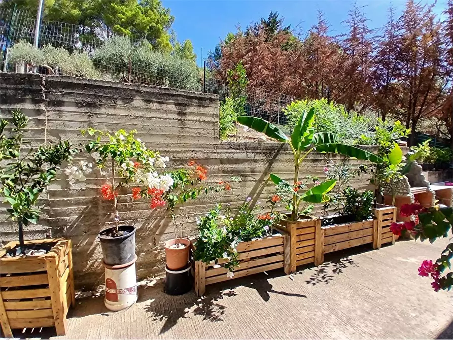 Immagine 30 di Villa in vendita  a Alessandria Della Rocca