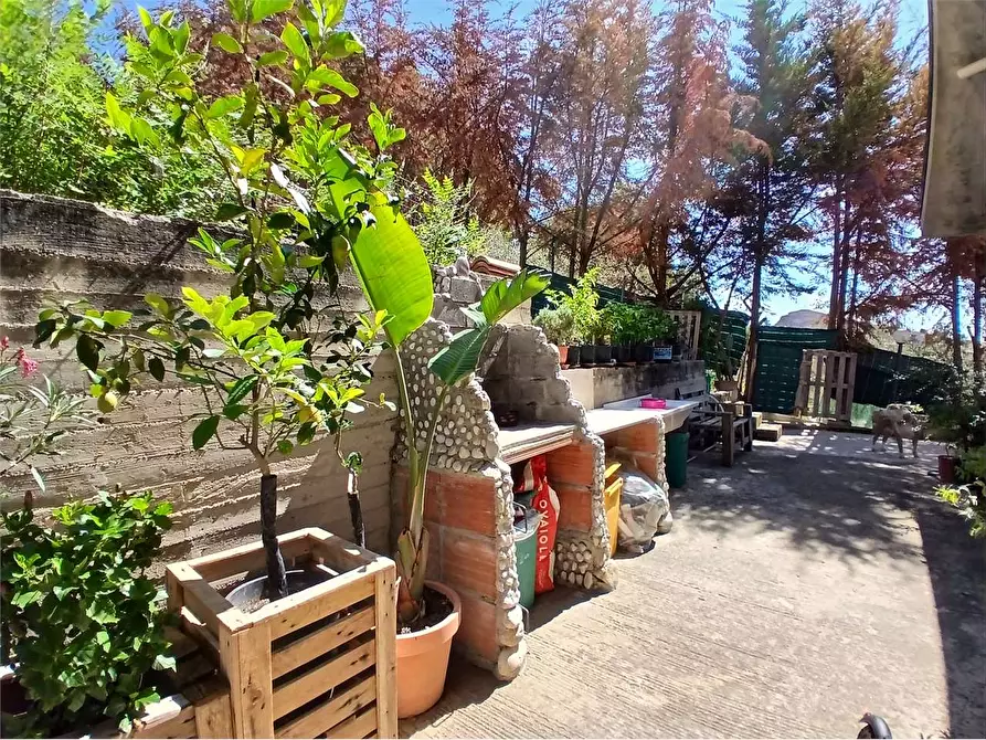 Immagine 31 di Villa in vendita  a Alessandria Della Rocca